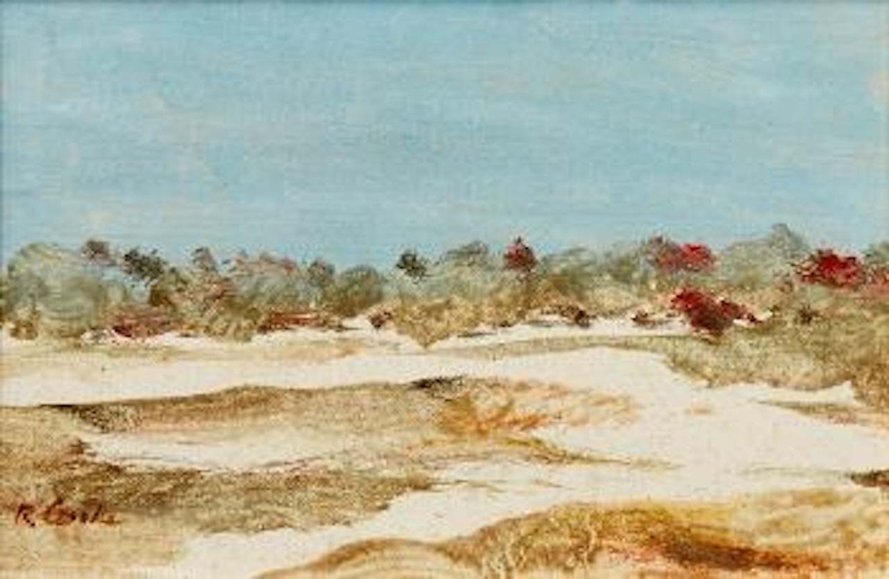 Palmer River, North Queensland by Ray Austin Crooke