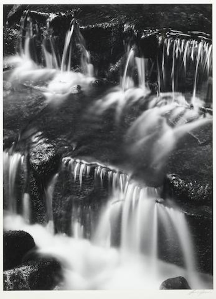 Fern Springs, Dusk, 1961 by Ansel Adams