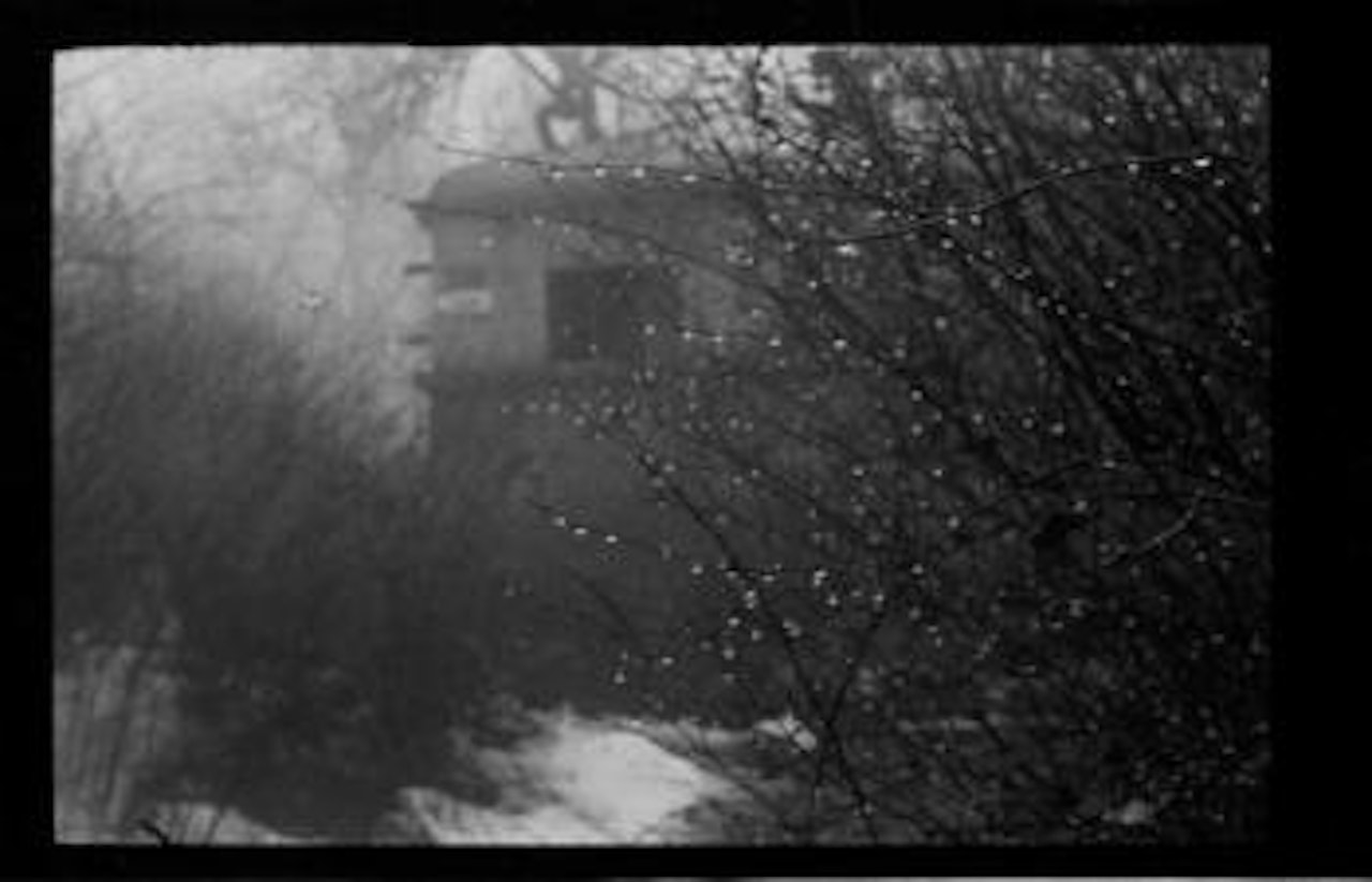 Ohne Titel (Zweige Mit Tropfen) by Josef Sudek