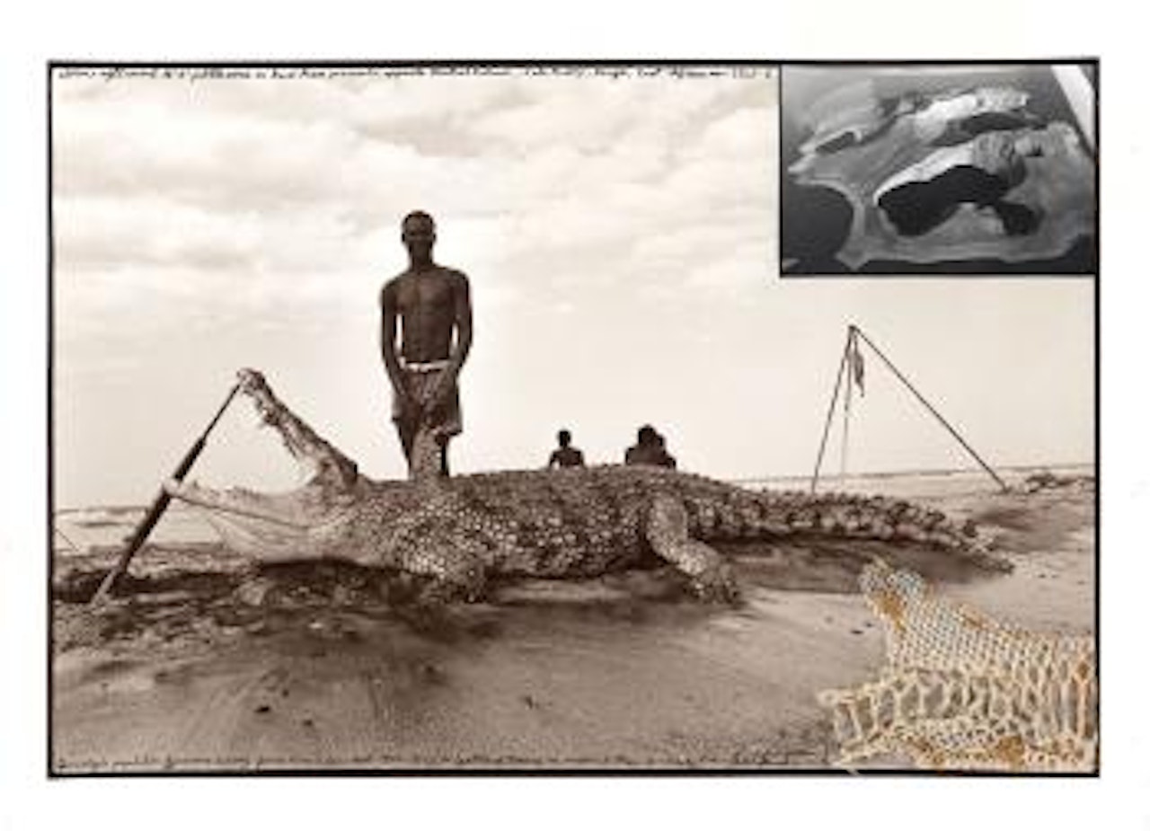 Alltime Night Record 15' 4'' Pebbleworm on Koobi Fora Peninsula Opposite Central Island, Lake Rudolf, Kenya, East Africa by Peter Beard