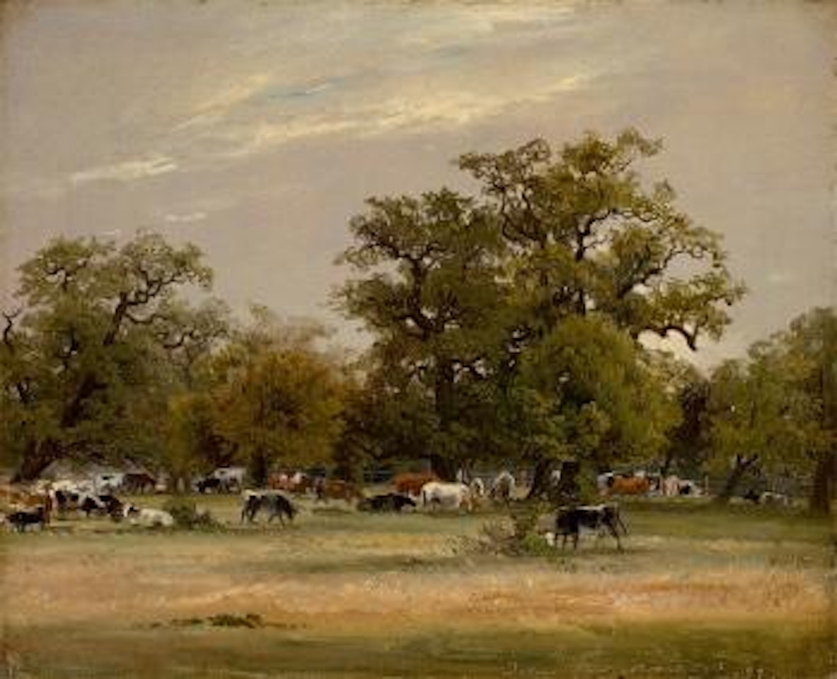 Kühe im Dessauer Tiergarten by Christian Friedrich Gille