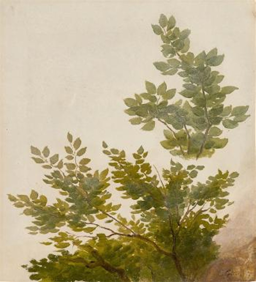 Buchenzweige by Christian Friedrich Gille