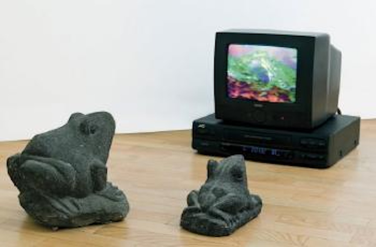 TV frogs by Nam June Paik