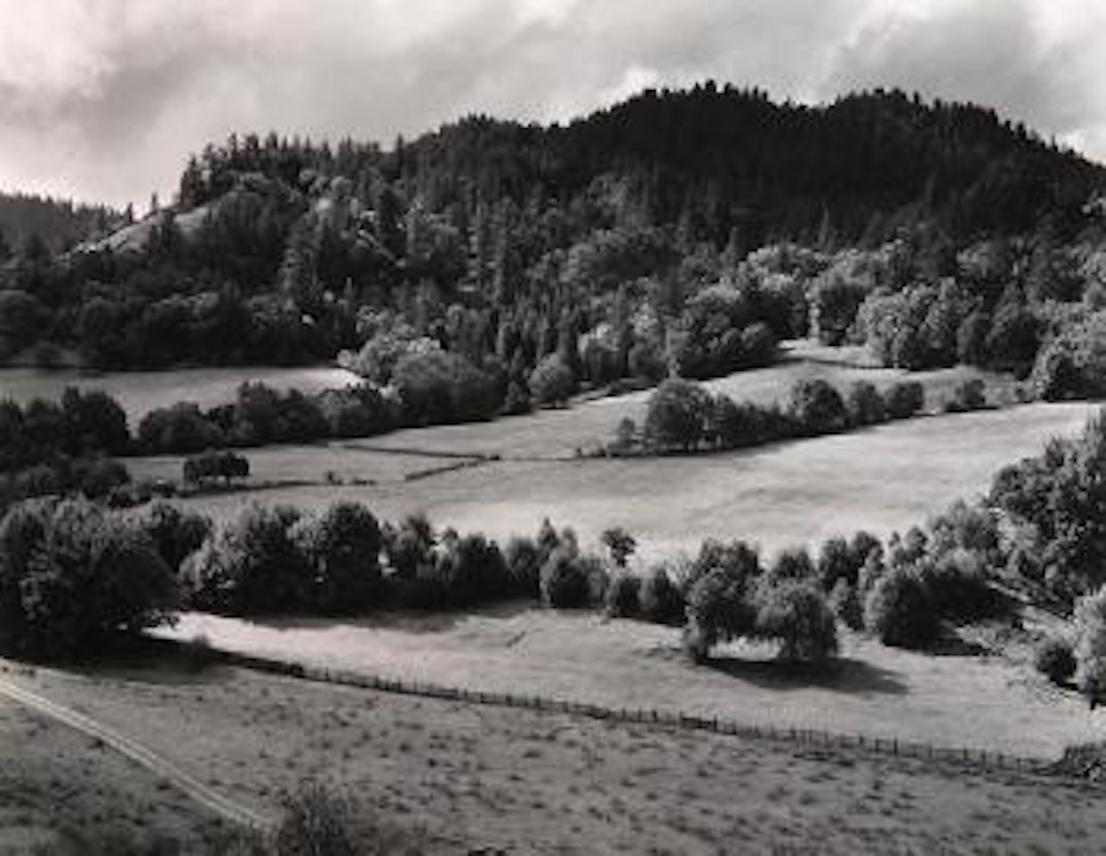Eel River ranch by Edward Weston