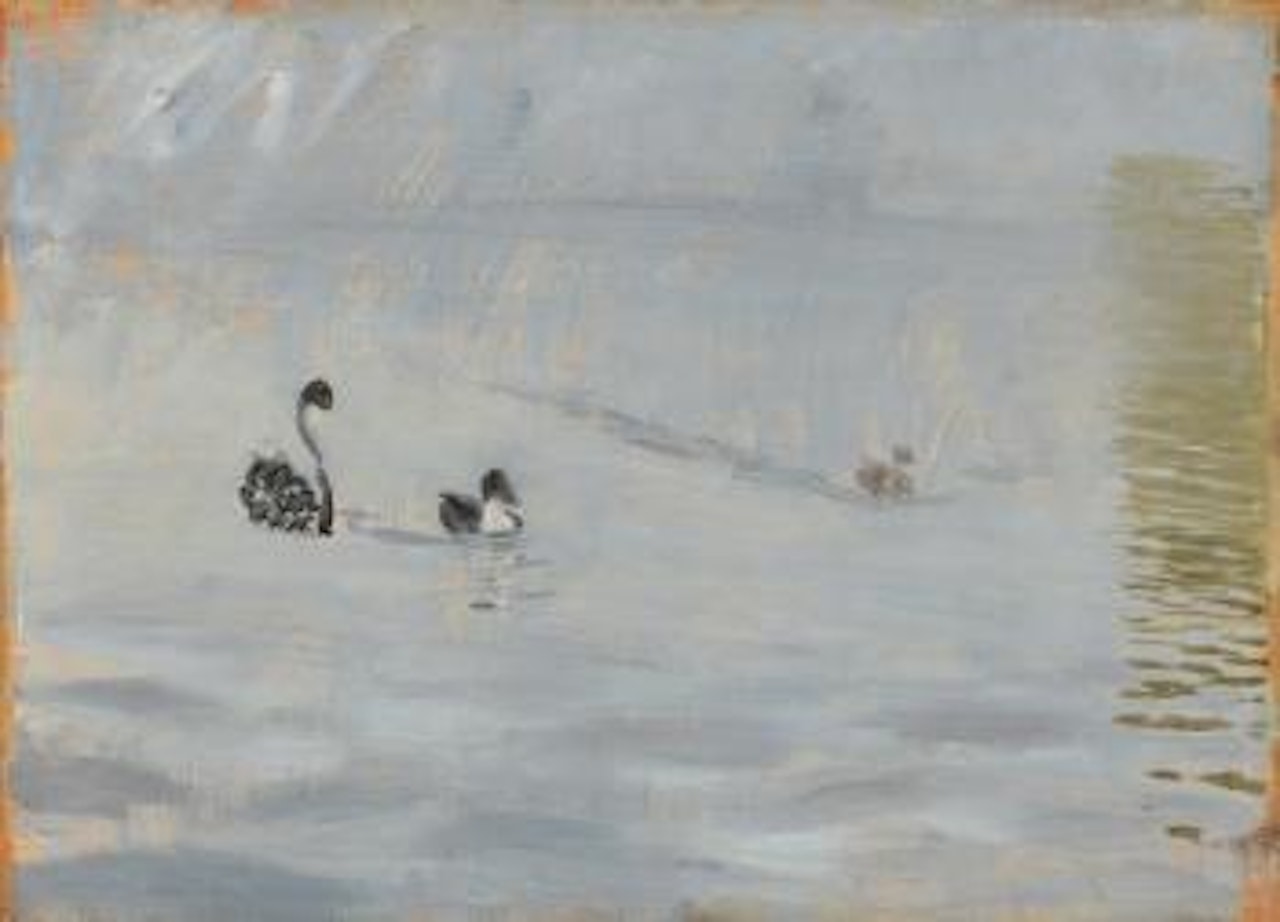 Cygnes sur l'étang by Giuseppe de Nittis