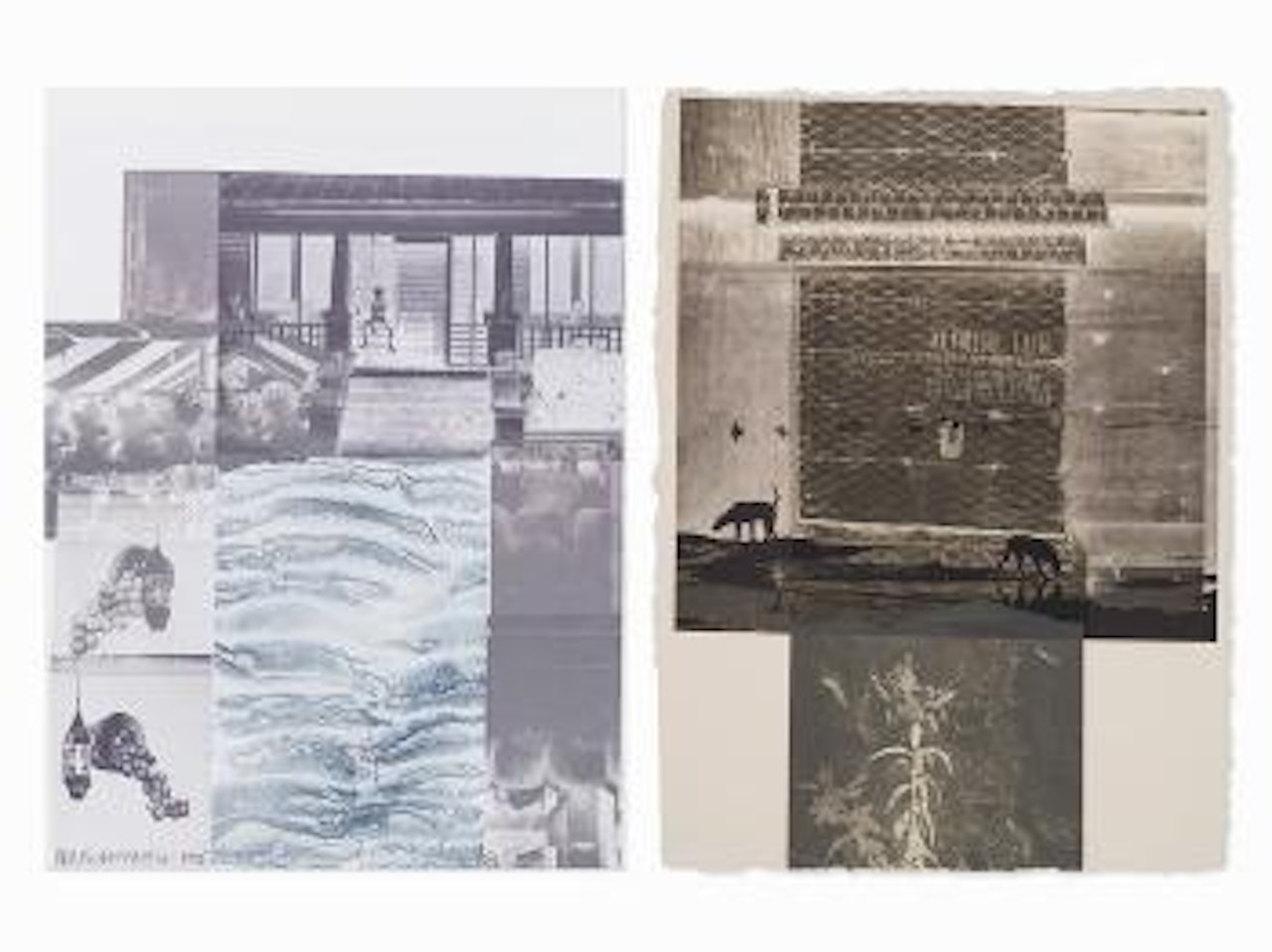 1: 'American Pewter with Burroughs IV' and 2: 'Lily Scent' by Robert Rauschenberg