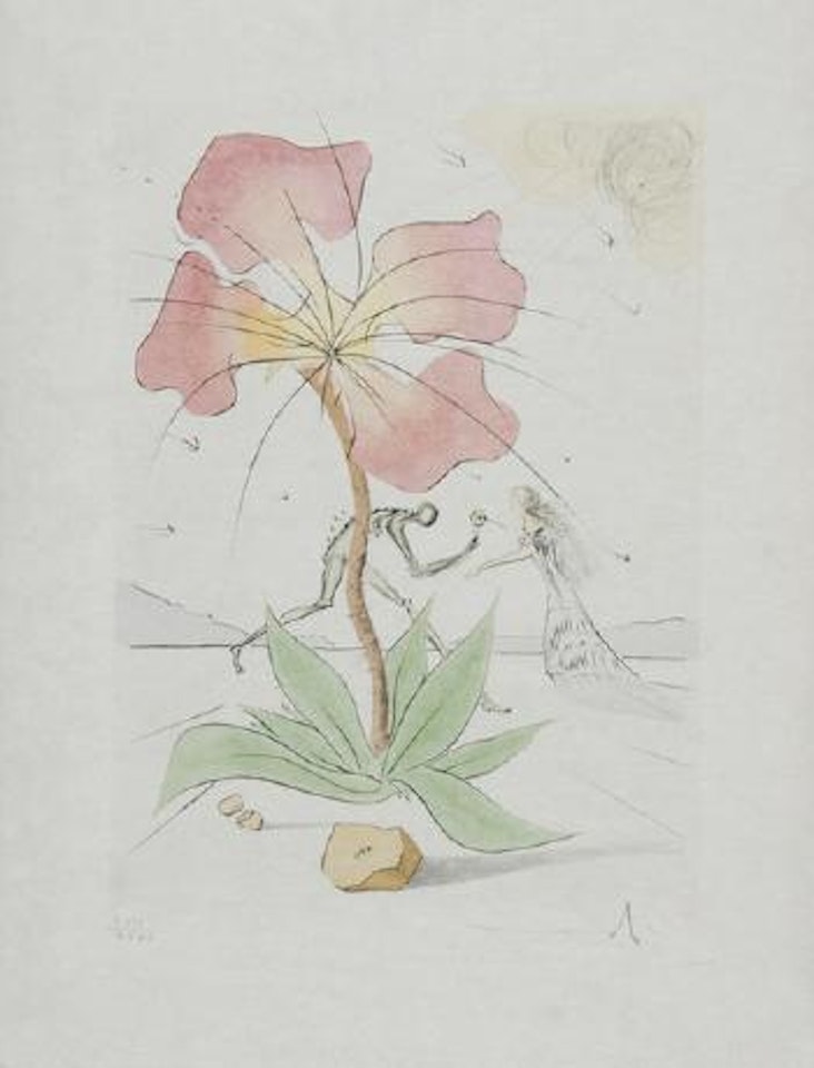 Reuben, from 'The Twelve Tribes of Israel' by Salvador Dali