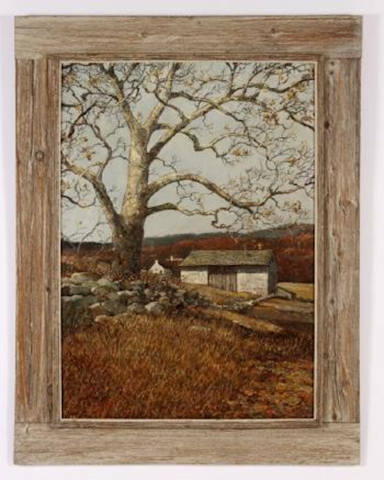 Sycamore by Eric Sloane