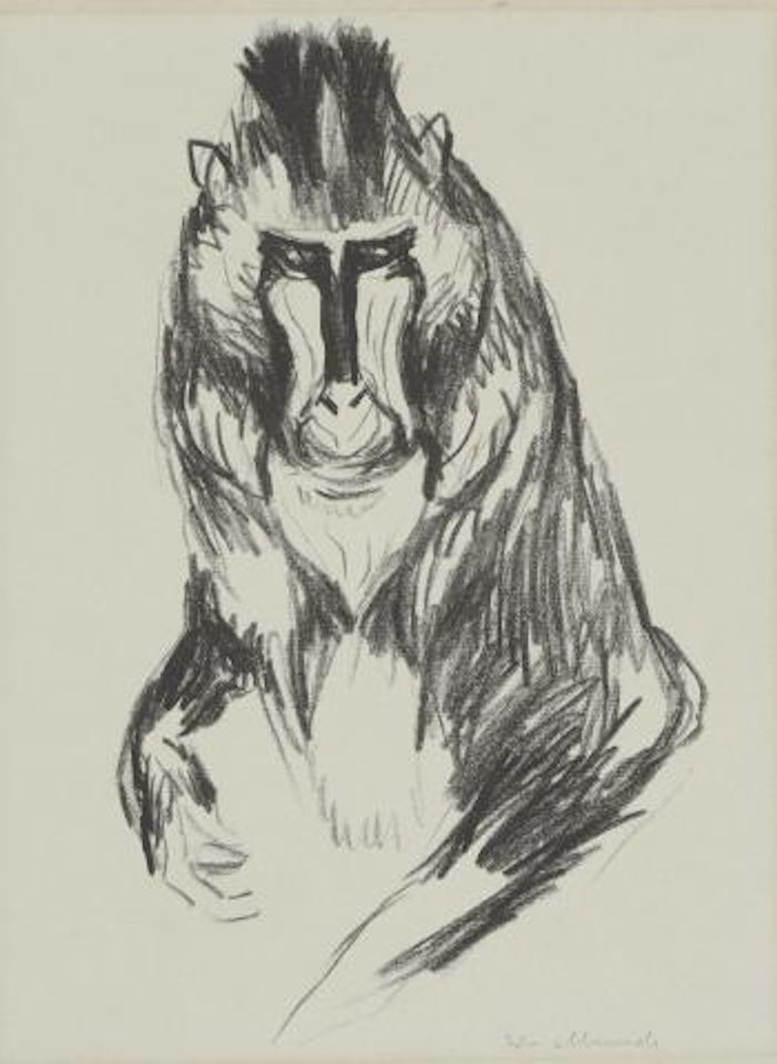 Gorilla by Edvard Munch