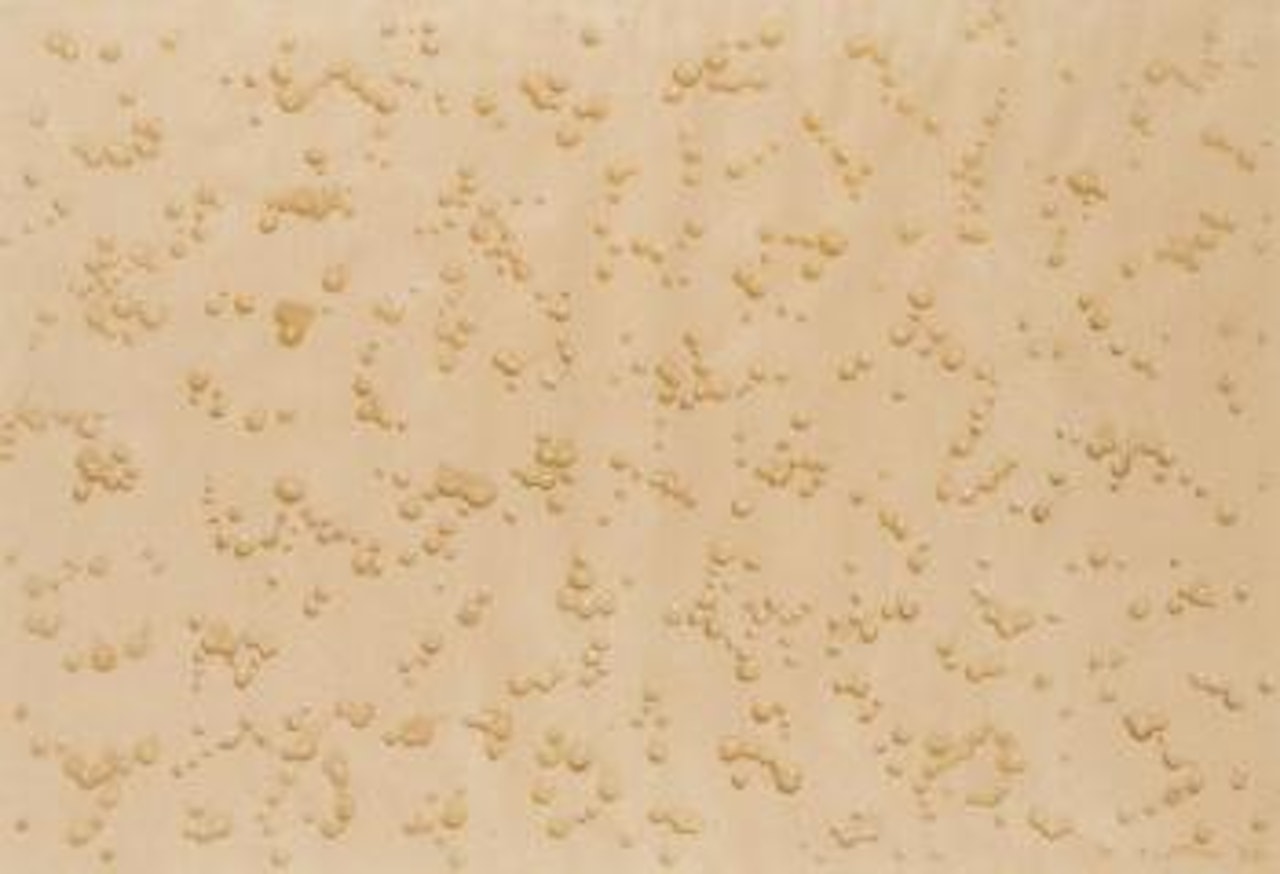 Water Drops No. L-12 by Kim Tschang-Yeul