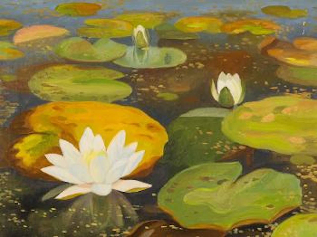 Water Lilies by Dirk Smoorenberg