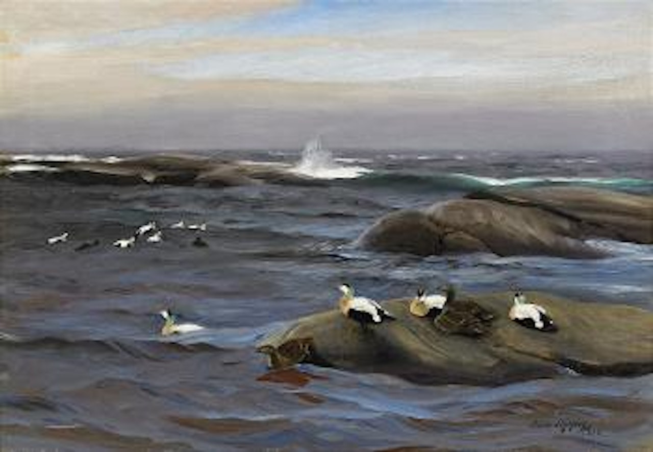 Ejdrar på kobbe by Bruno Liljefors