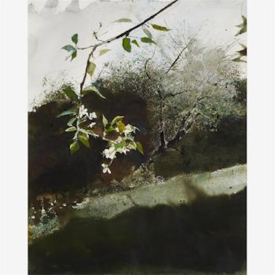 Bartlett Pear by Andrew Wyeth