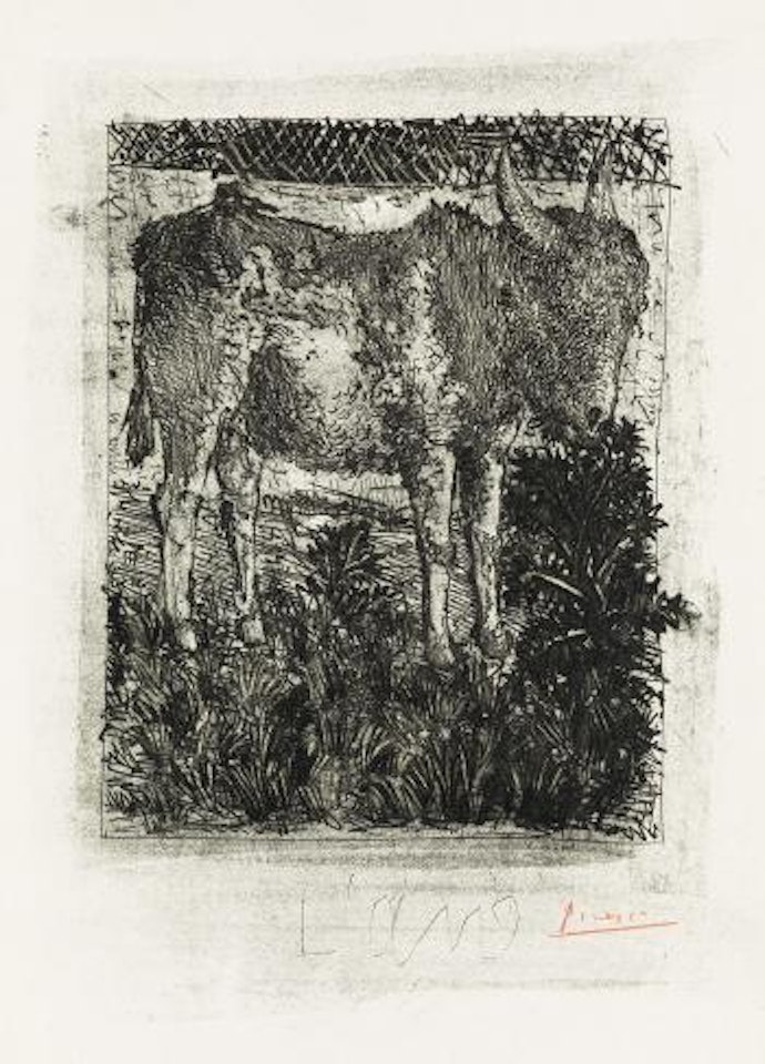 L'Âne by Pablo Picasso