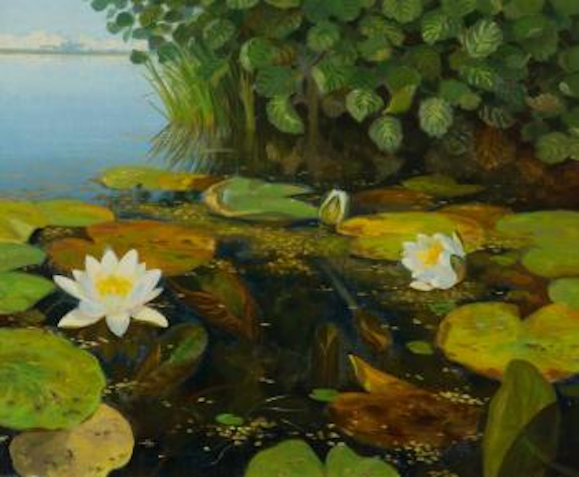 Water lilies in the reeds by Dirk Smoorenberg