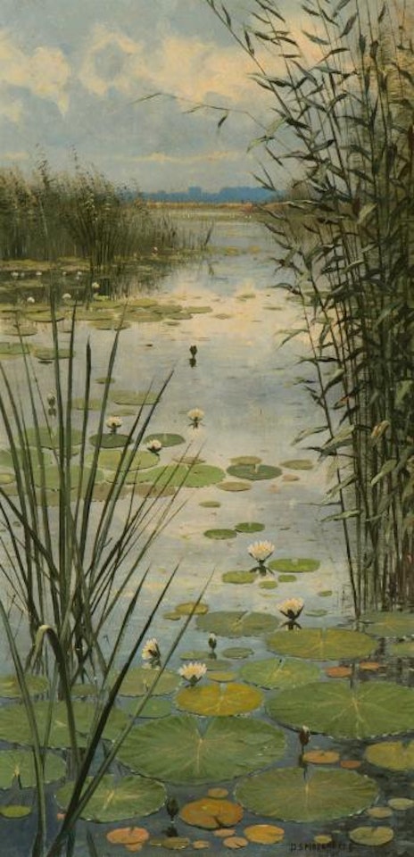 Loosdrechtse Plas by Dirk Smoorenberg