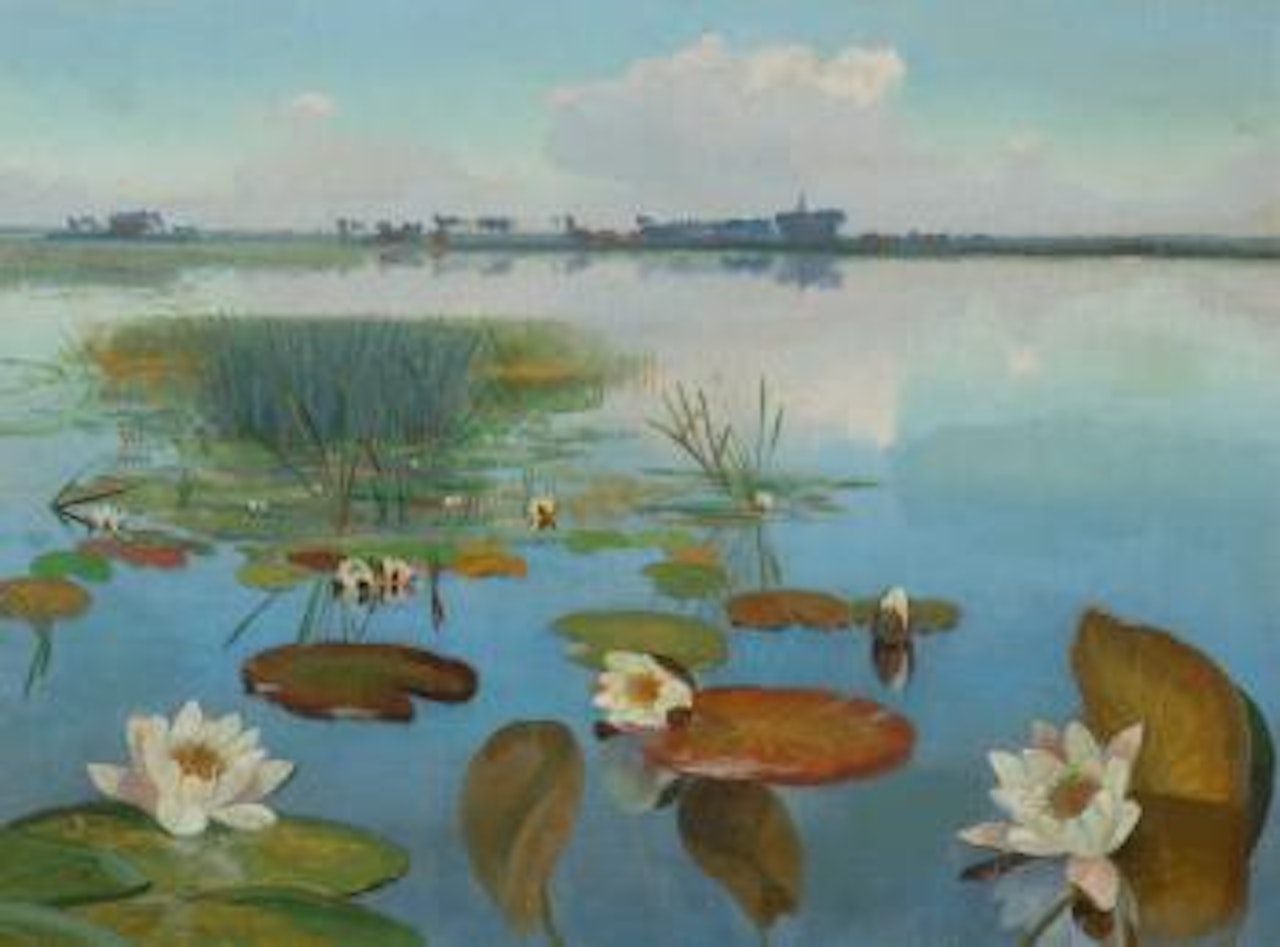 Water lilies in the Loosdrechtse Plassen by Dirk Smoorenberg