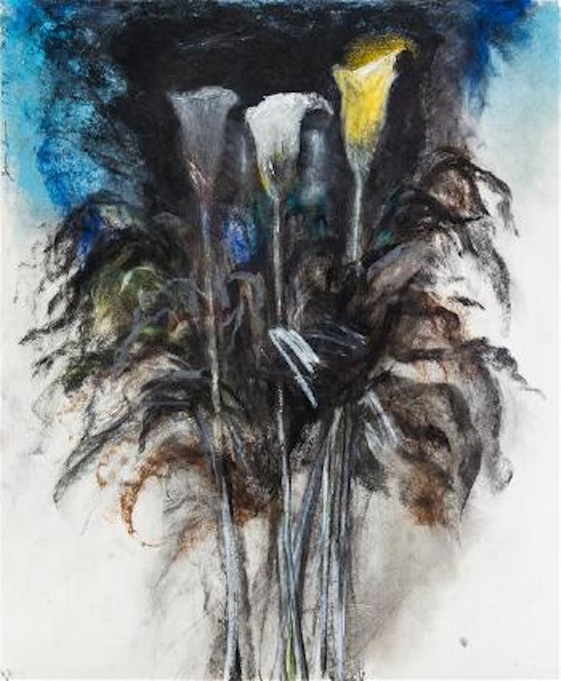 Calla Lillies #12 by Jim Dine