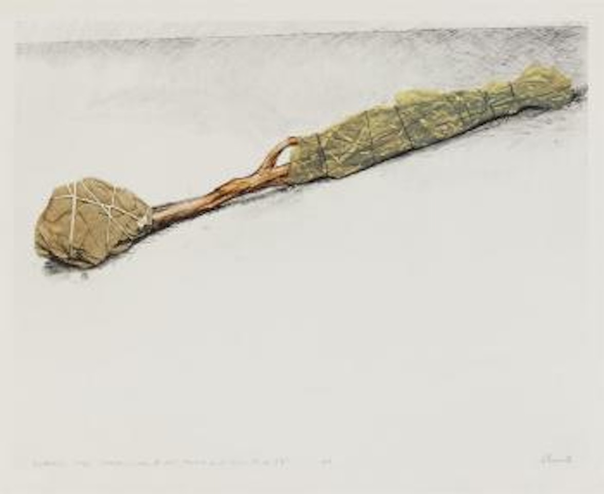 Wrapped tree, project by Christo