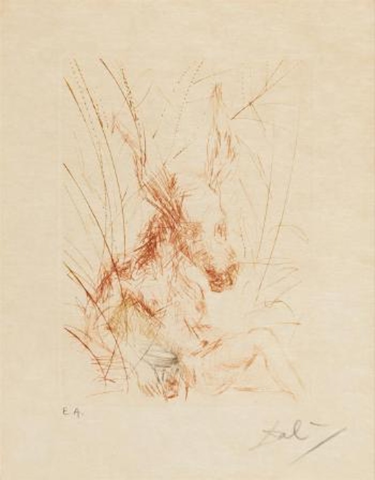 Ein Sommernachtstraum (aus: Shakespeare I) by Salvador Dali
