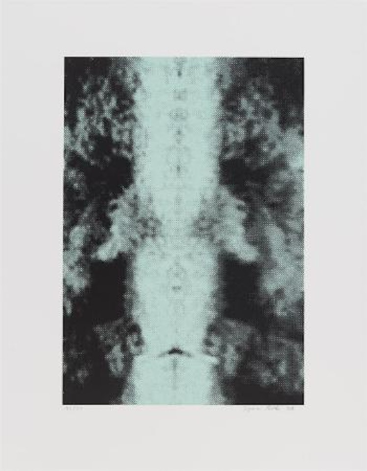 Ohne Titel (Spiegelung I) by Sigmar Polke