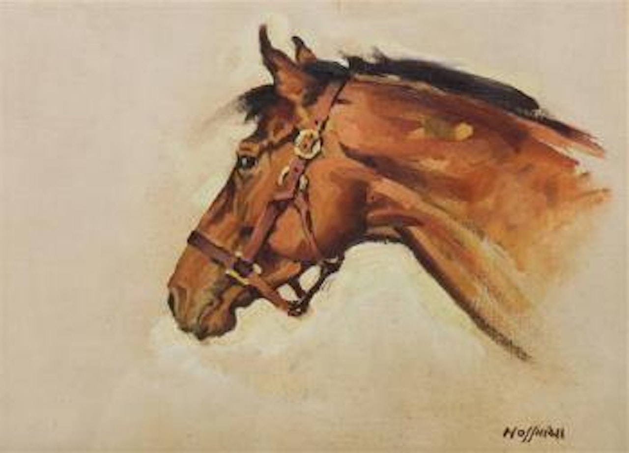 Head of Twenty Grand by Frank B. Hoffman