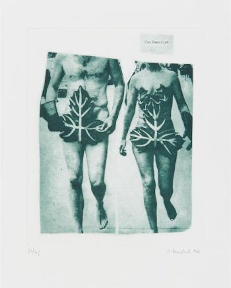 Can trees cry? by Rosemarie Trockel