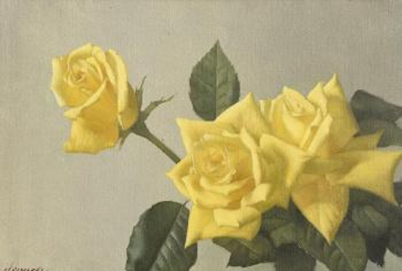 The yellow roses by Patrick Hennessey