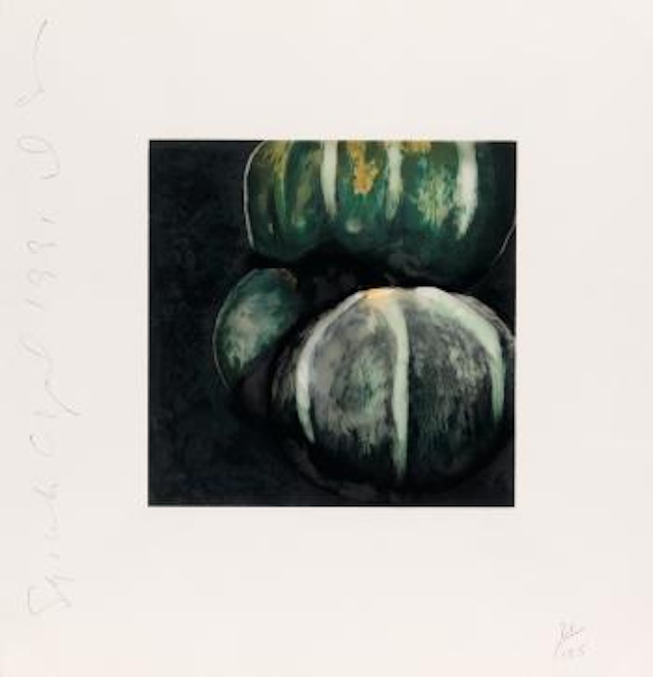 Squash by Donald Sultan