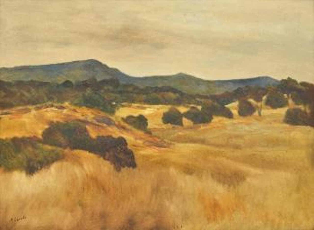 Near Atherton, North Queensland by Ray Austin Crooke