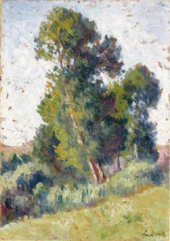 Etude d'arbre by Maximilien Luce