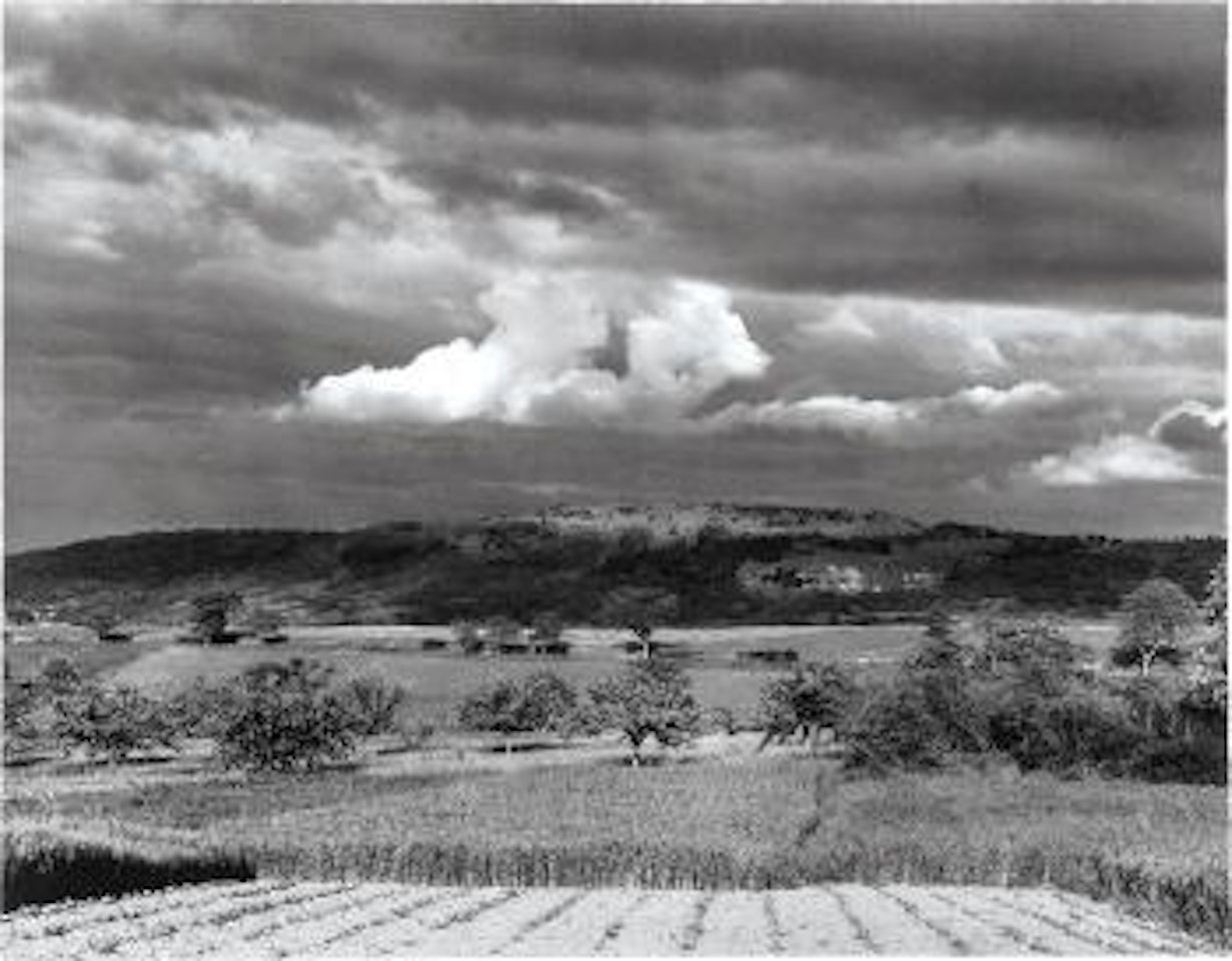 Landscape Near Sea in Montélimar by Paul Strand