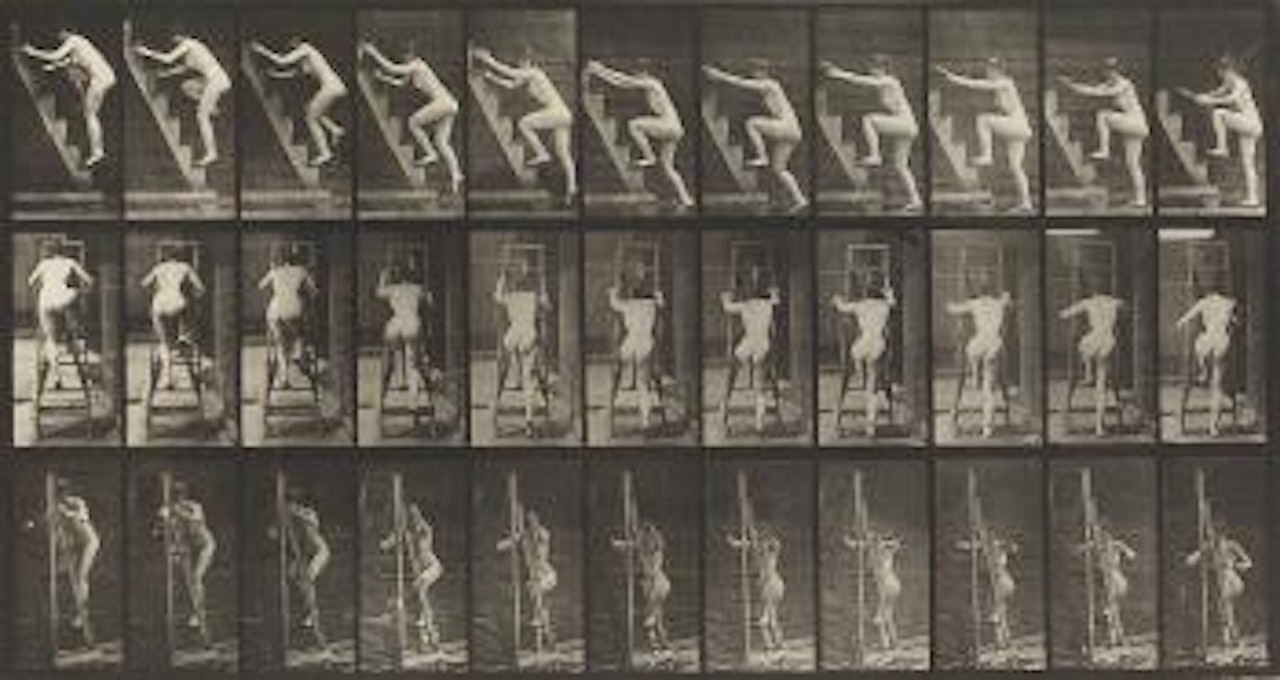 Woman climbing stairs and a ladder, plate 110 by Eadweard Muybridge