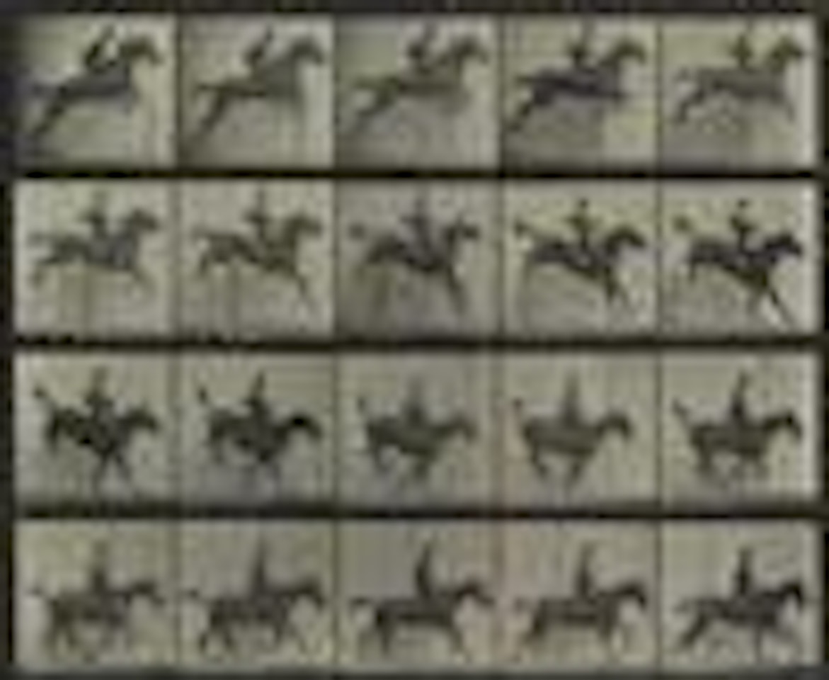 Horse clearing a hurdle, plate 637. Pelican landing, plate 775. Ostrich running, plate 772 by Eadweard Muybridge