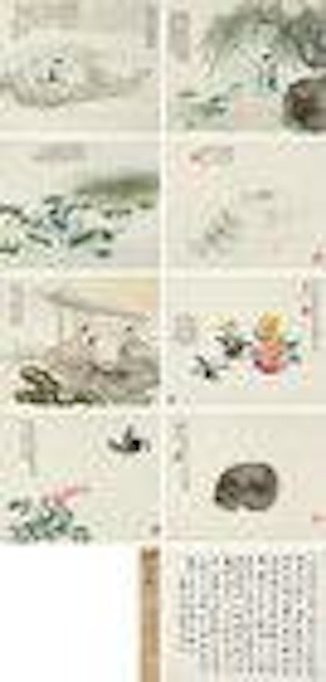 Nature Collection by Feng Chaoran