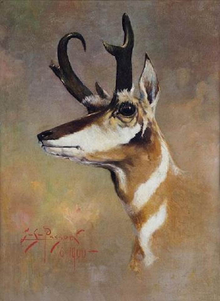 Antelope by Edgar S. Paxson