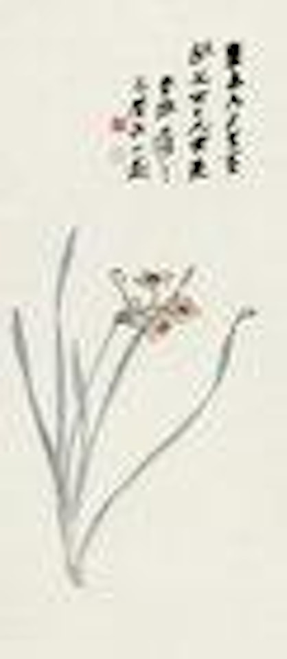 Narcissus by Zhang Daqian