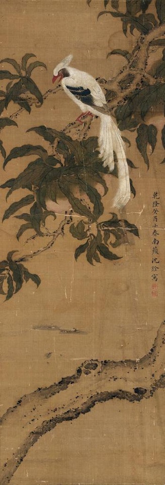 Paradisi and Pine by Shen Quan