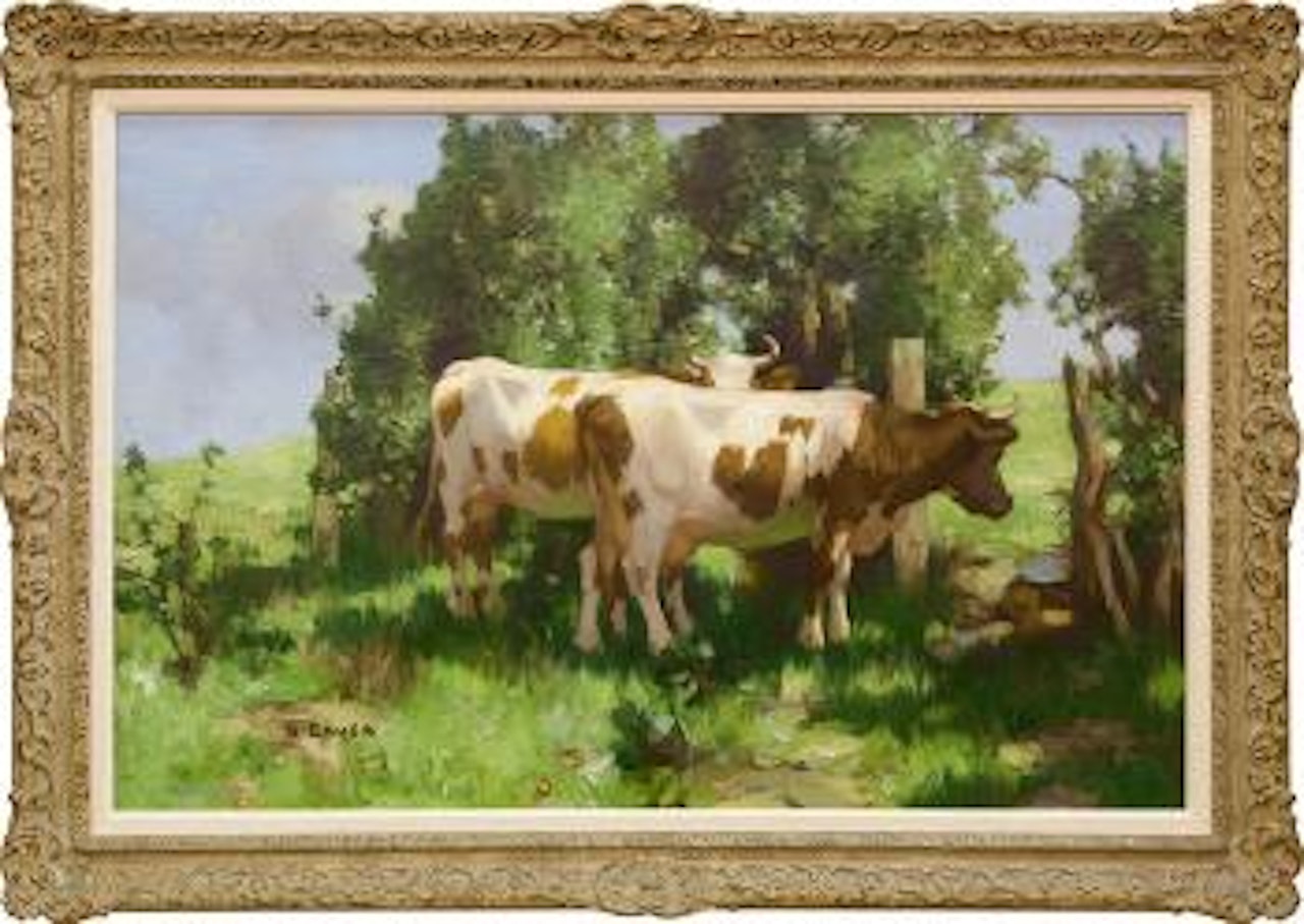 Two ayrshires in summer sunshine by David Gauld
