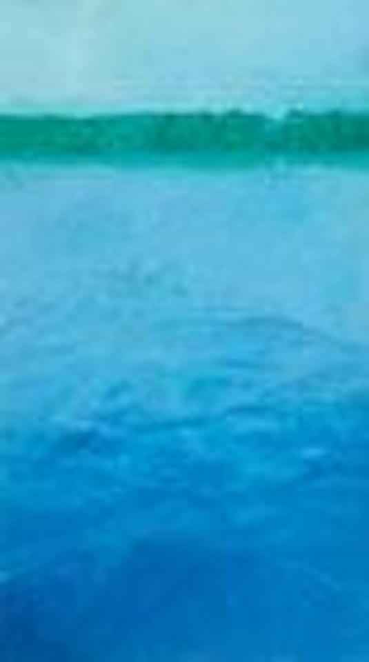 Lake-2004 by Zhang Jian