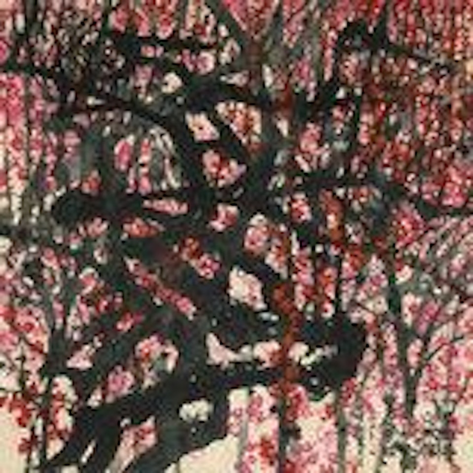 Prosperity and Abundance by Huang Yongyu