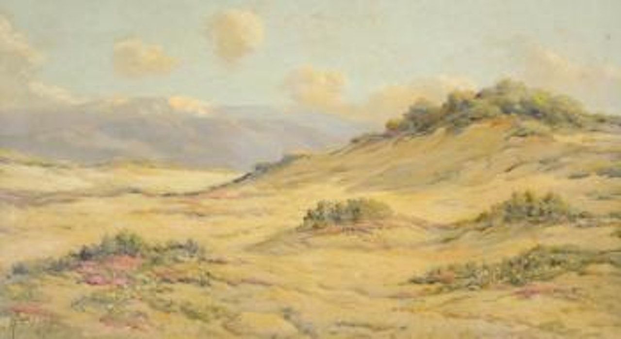 Valley in the Hills, California desert by Angel Espoy