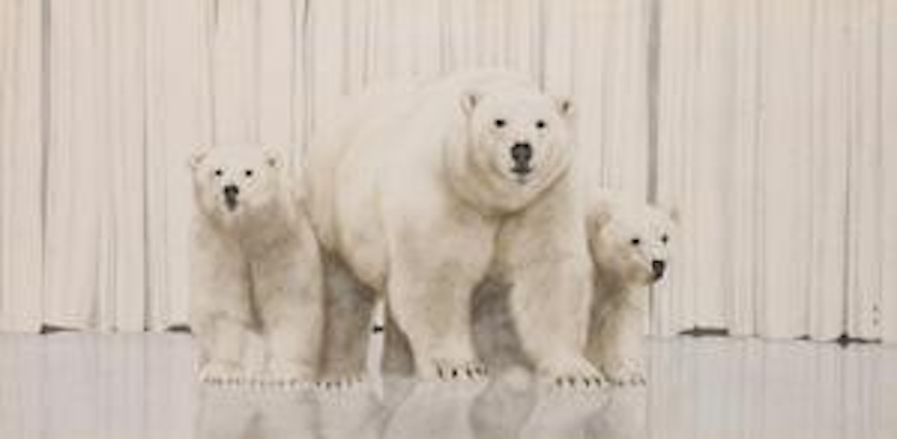 Family by Qin Ai