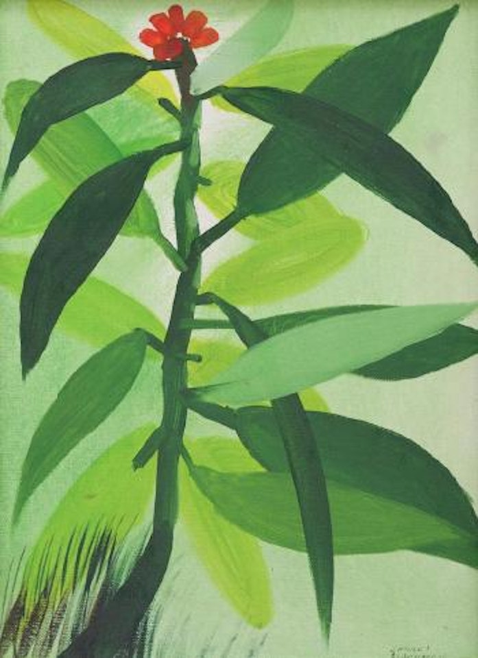 Island Flora by Charles Blackman