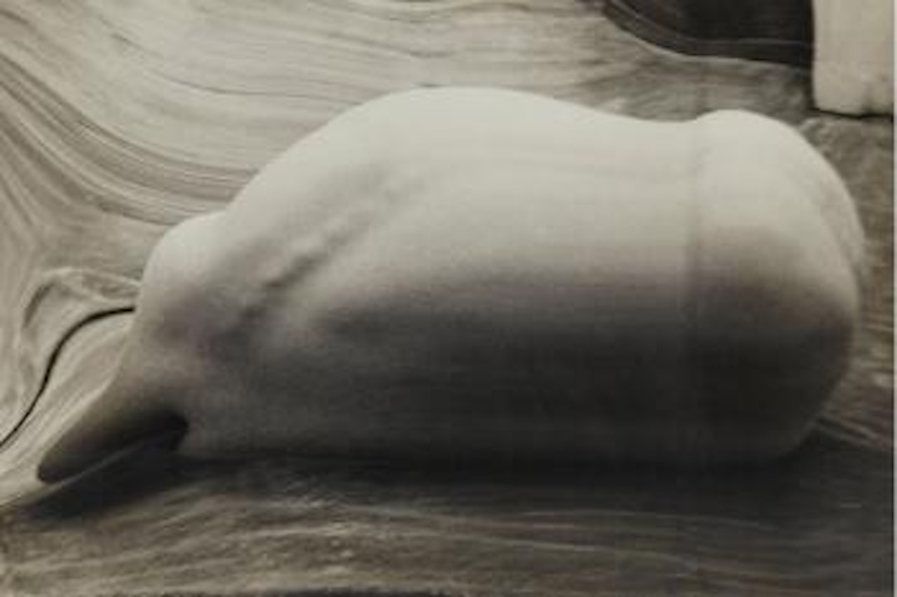 Distortion #143 by André Kertész