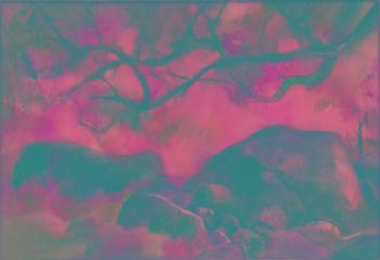 Untitled (Trees) by Vicente Manansala