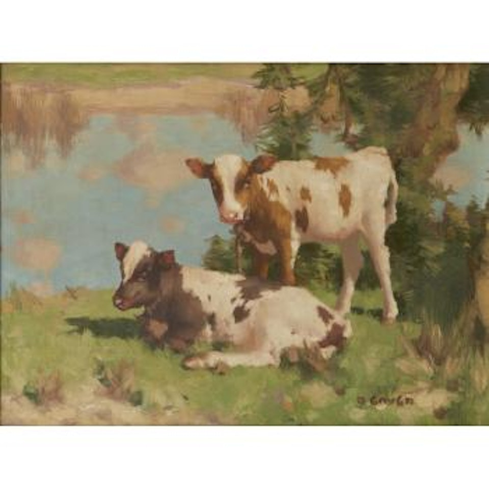 Calves in a field by David Gauld
