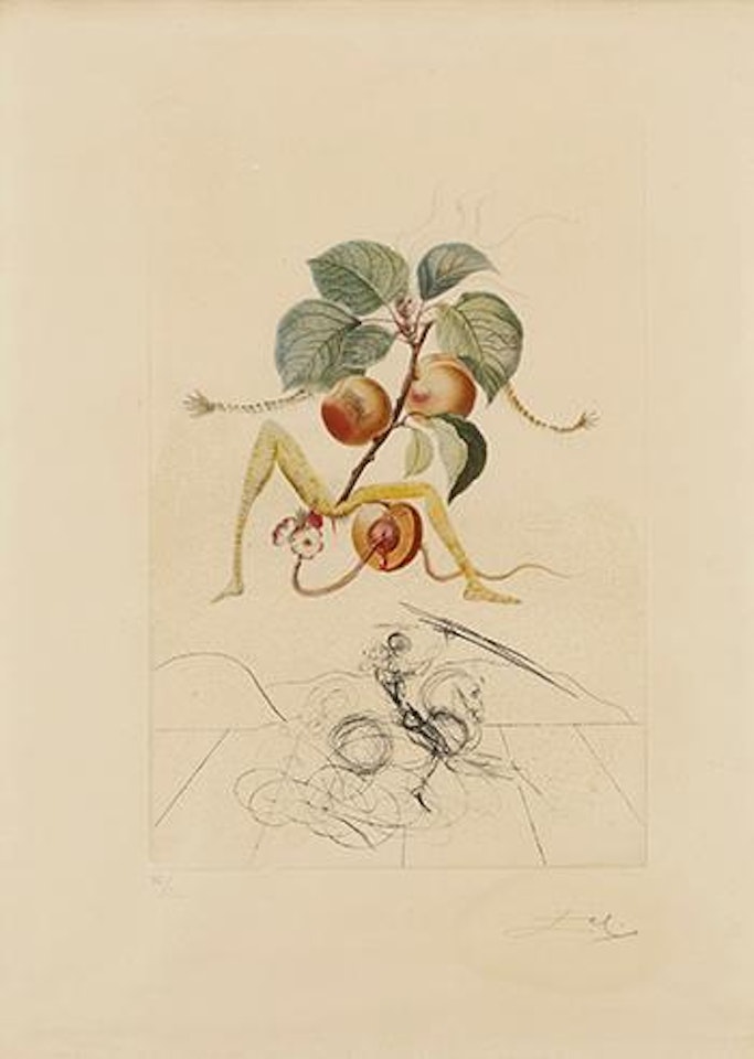 Abricot chevalier by Salvador Dali