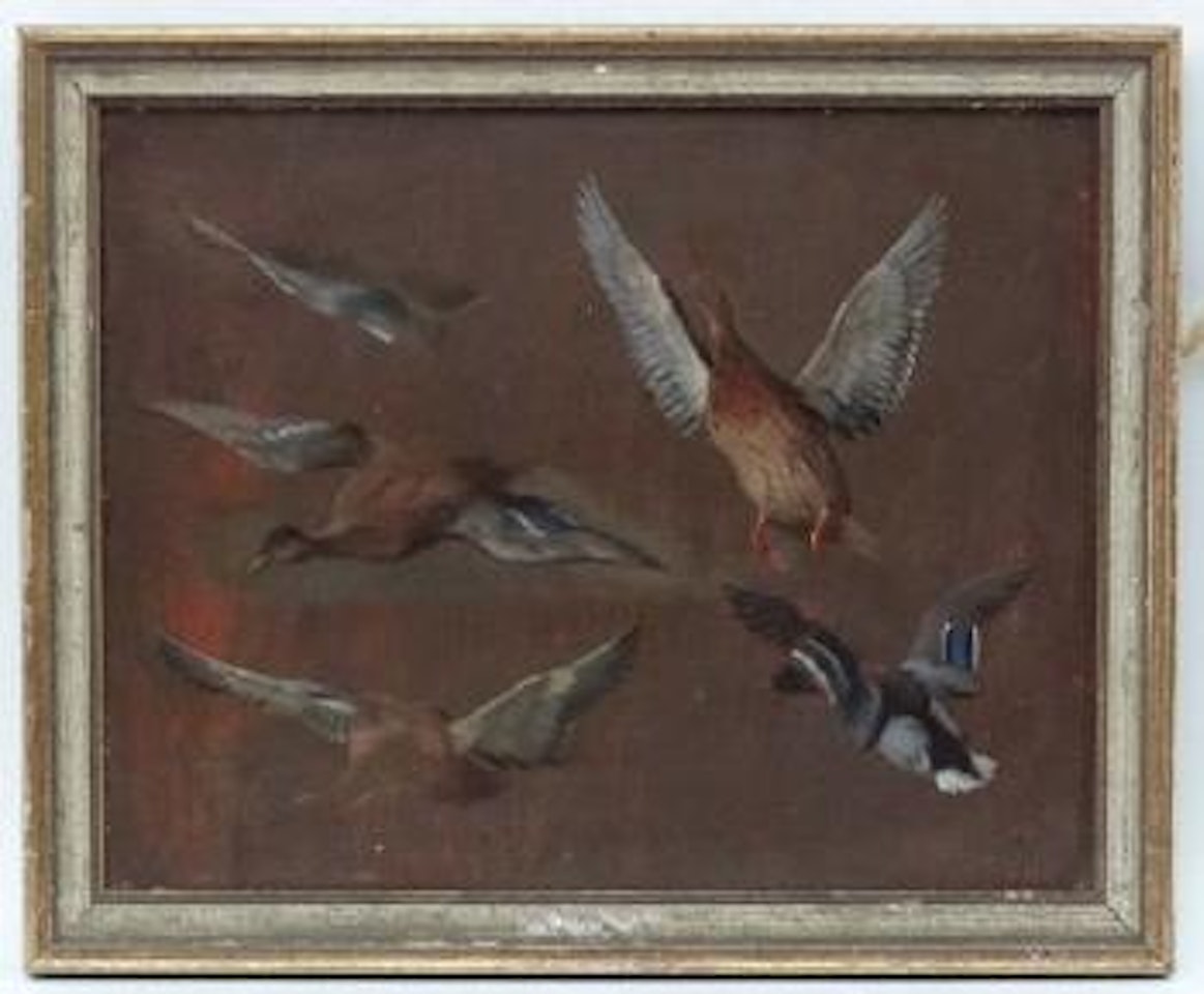 Study of duck by Edgar Hunt