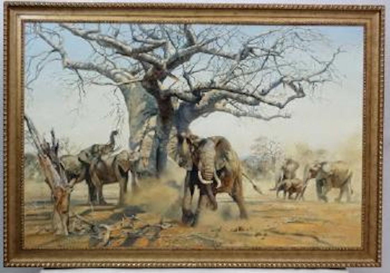 Elephant in the shade of an old Baobab Tree by Donald Grant